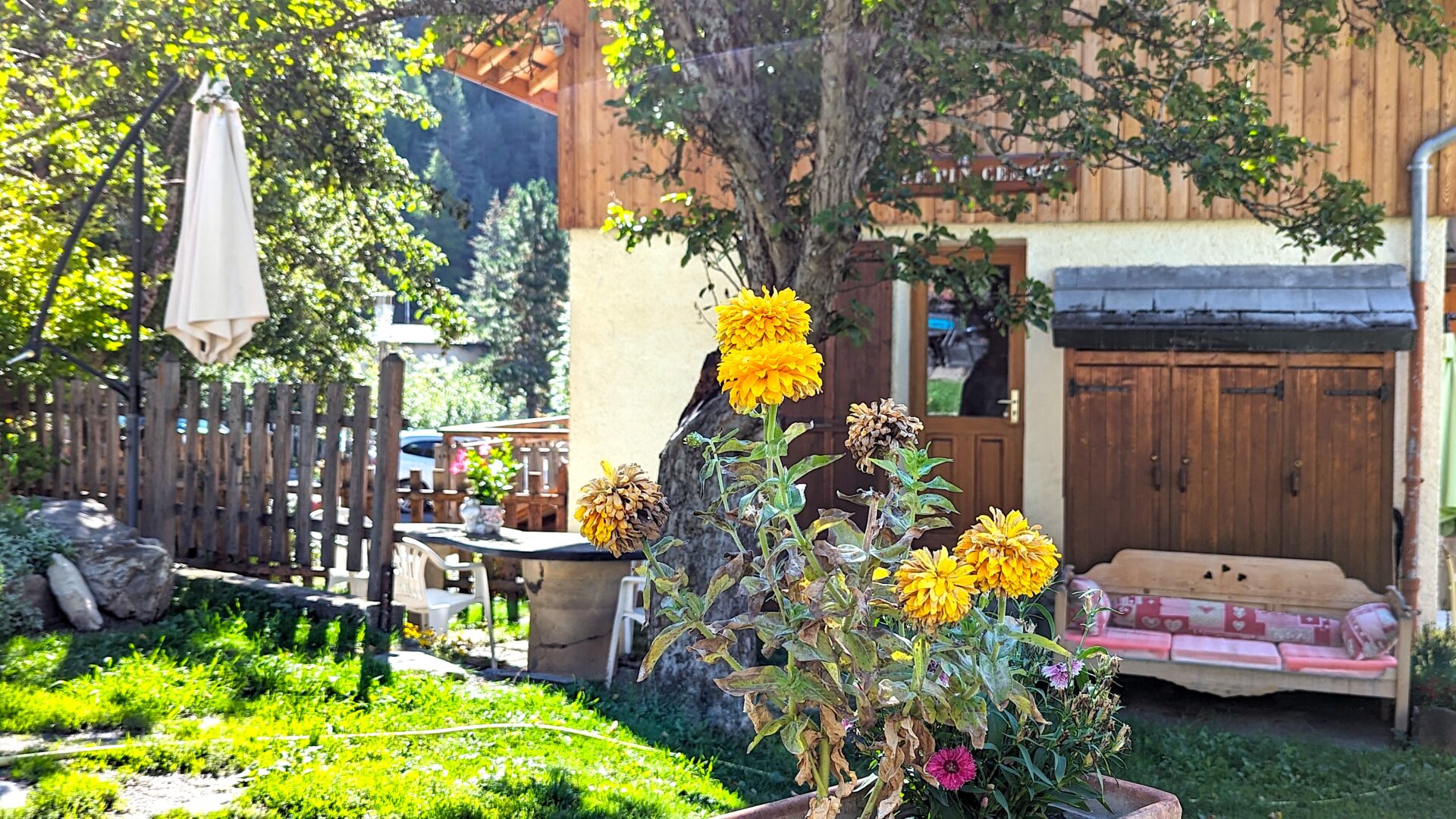 Terrasse - Pin Cembro - Les Rives des Vacheres - Les Orres - Hautes Alpes